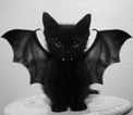 Brugeravatar
