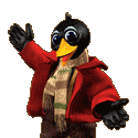 Brugeravatar