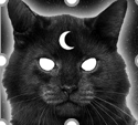 Brugeravatar