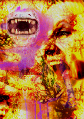 Brugeravatar
