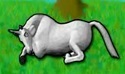 Brugeravatar